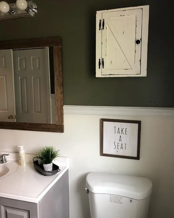 Benjamin Moore Tate Olive bathroom color review