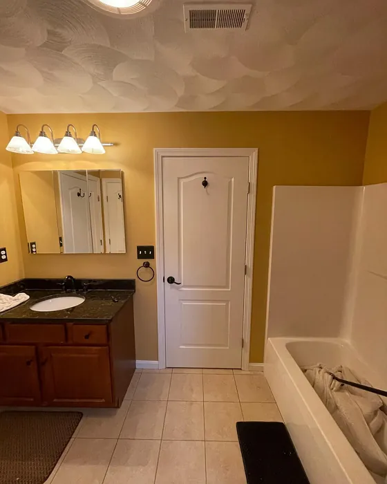 Benjamin Moore Tavern Ochre bathroom paint