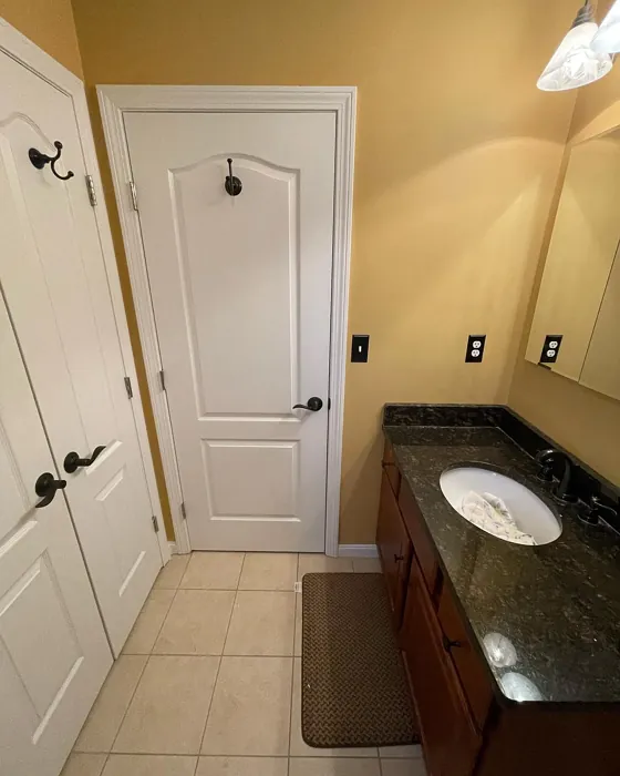 Tavern Ochre bathroom paint