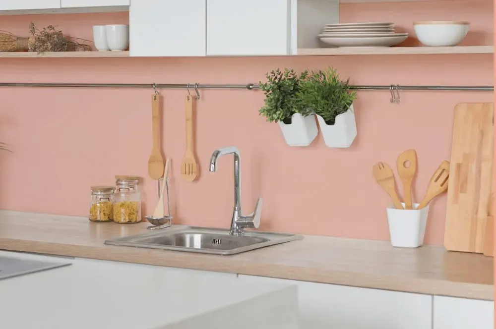 Benjamin Moore Teacup Rose kitchen backsplash