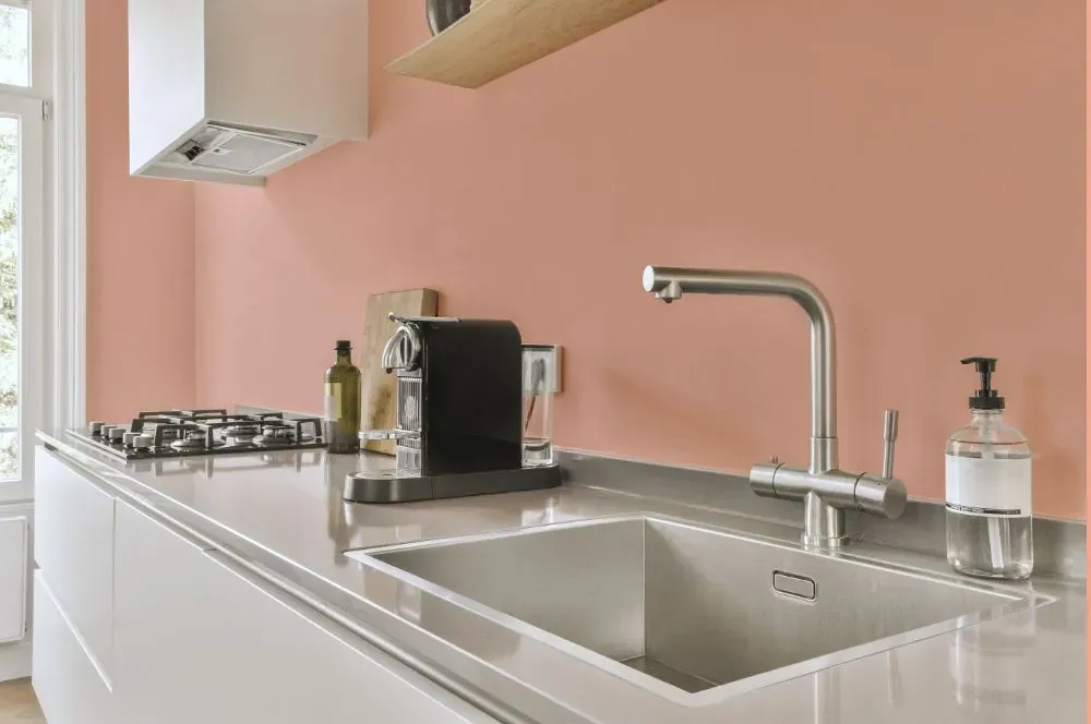 Benjamin Moore Teacup Rose kitchen painted backsplash