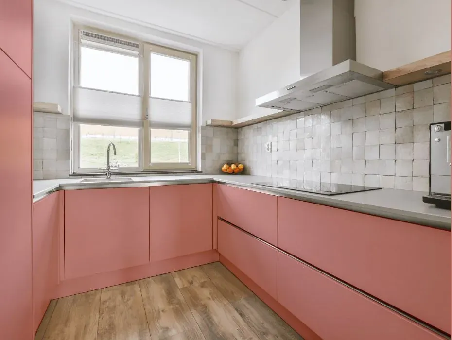 Benjamin Moore Tender Pink small kitchen cabinets