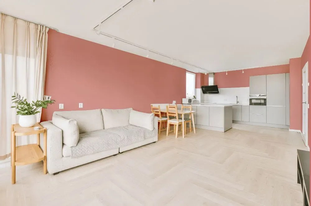 Benjamin Moore Tender Pink living room interior