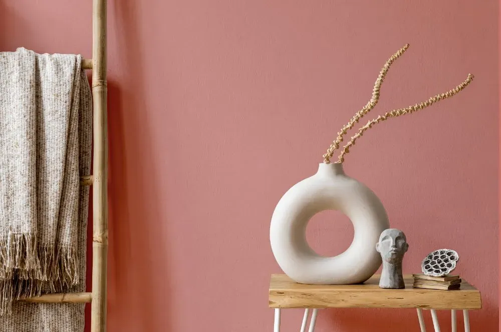 Benjamin Moore Tender Pink wall