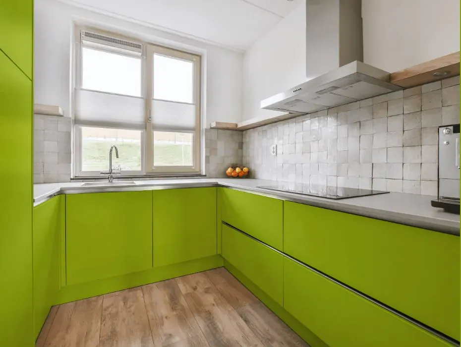 Benjamin Moore Tequila Lime small kitchen cabinets