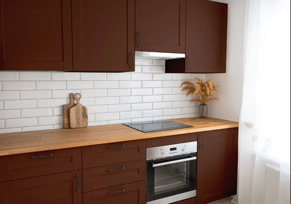 Benjamin Moore Terrazzo Brown kitchen cabinets