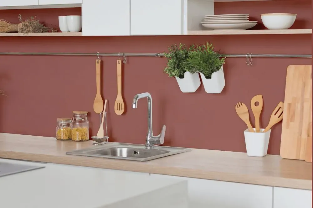 Benjamin Moore Texas Rose kitchen backsplash