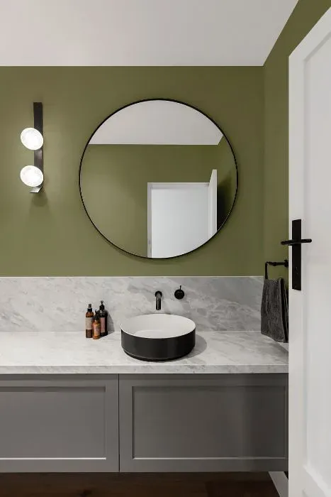 Benjamin Moore Thayer Green minimalist bathroom