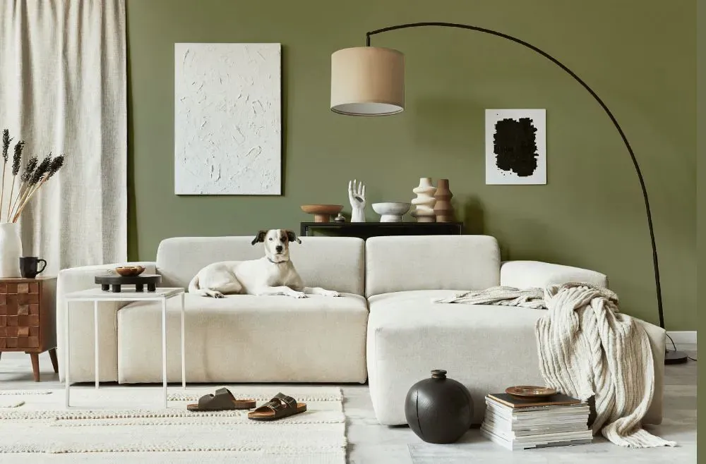 Benjamin Moore Thayer Green cozy living room