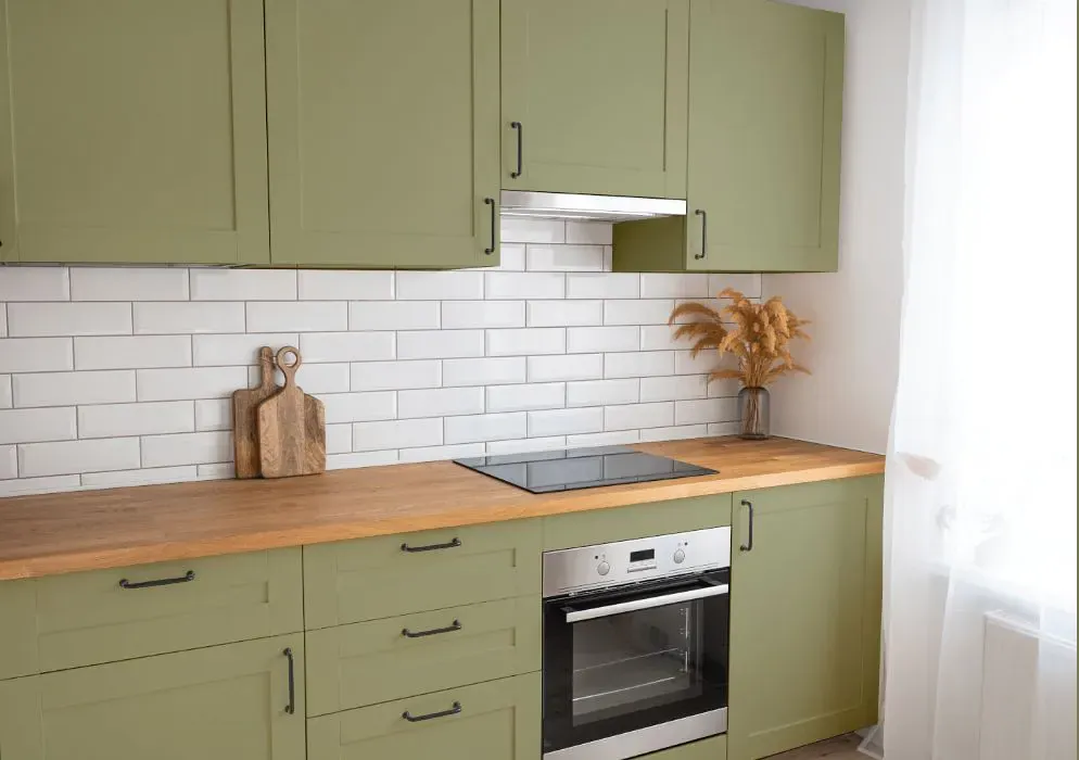 Benjamin Moore Thicket kitchen cabinets