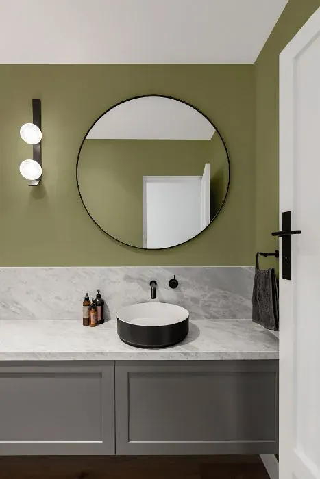 Benjamin Moore Thicket minimalist bathroom