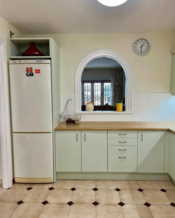 Thornton Sage kitchen cabinets color