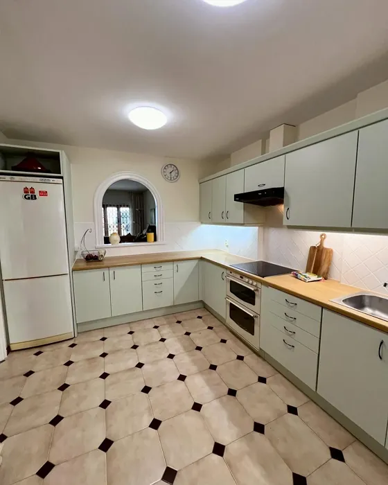 Thornton Sage kitchen cabinets color review