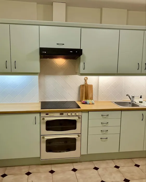 Benjamin Moore Thornton Sage kitchen cabinets color review