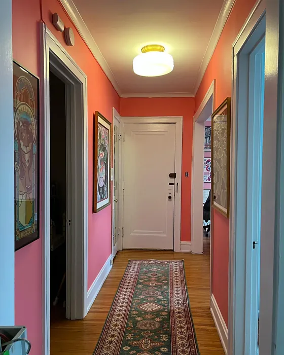 Benjamin Moore Tickled Pink hallway paint