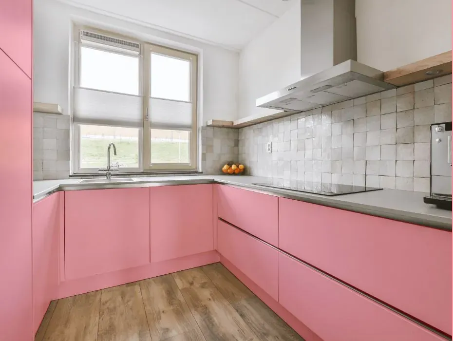 Benjamin Moore Tickled Pink small kitchen cabinets