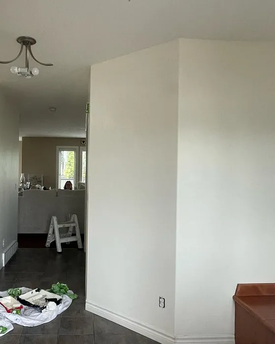 Benjamin Moore Timid White hallway paint review