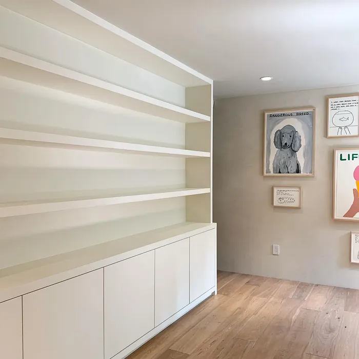 Benjamin Moore Timid White painted storage review