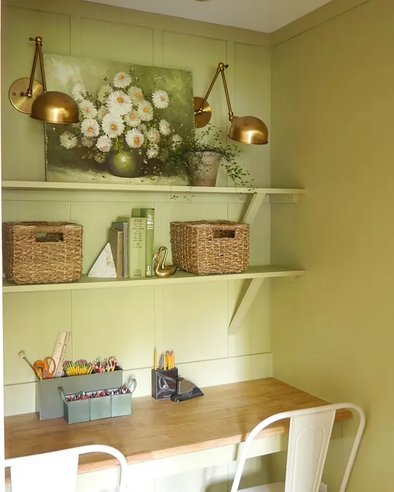 Benjamin Moore Timothy Straw wall paint 