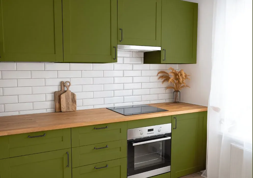 Benjamin Moore Timson Green kitchen cabinets