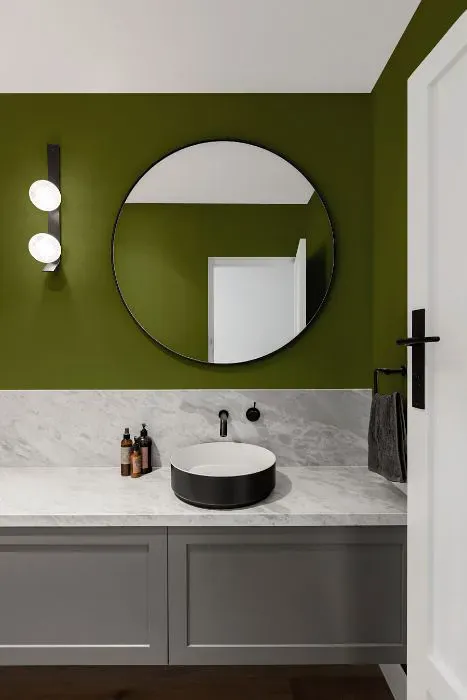 Benjamin Moore Timson Green minimalist bathroom