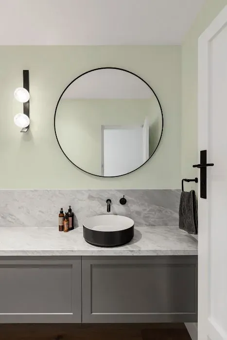 Benjamin Moore Tint of Mint minimalist bathroom