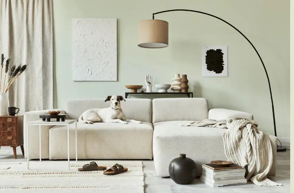 Benjamin Moore Tint of Mint cozy living room
