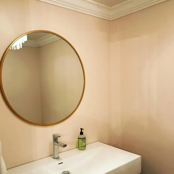 Tissue Pink bathroom color review