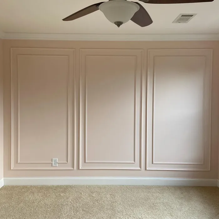 Benjamin Moore Tissue Pink wall paint color