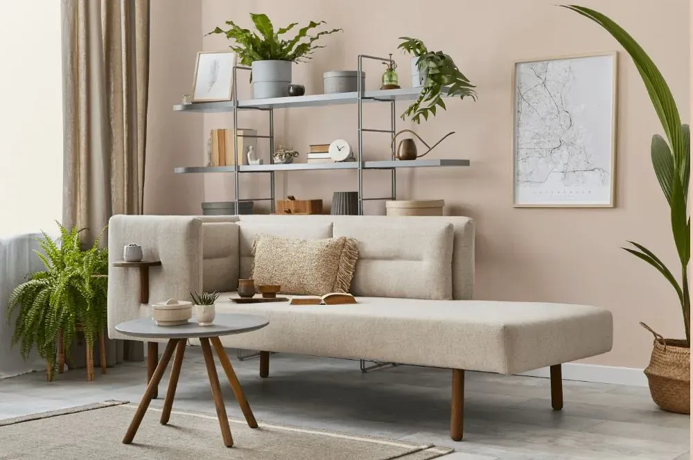 Benjamin Moore Tissue Pink living room