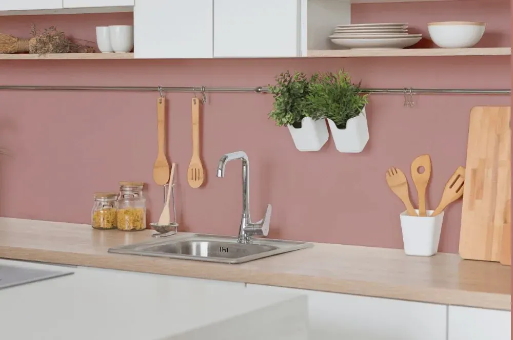 Benjamin Moore Titanic Rose kitchen backsplash