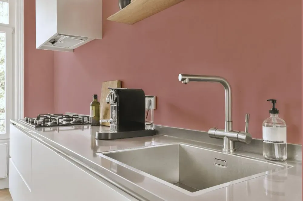 Benjamin Moore Titanic Rose kitchen painted backsplash