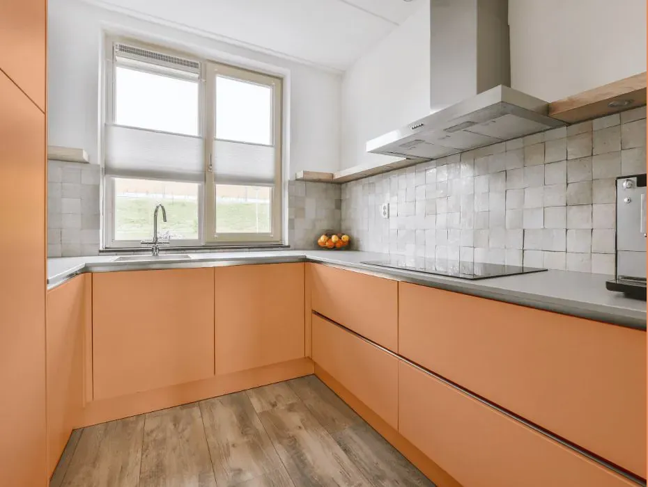 Benjamin Moore Toffee Orange small kitchen cabinets