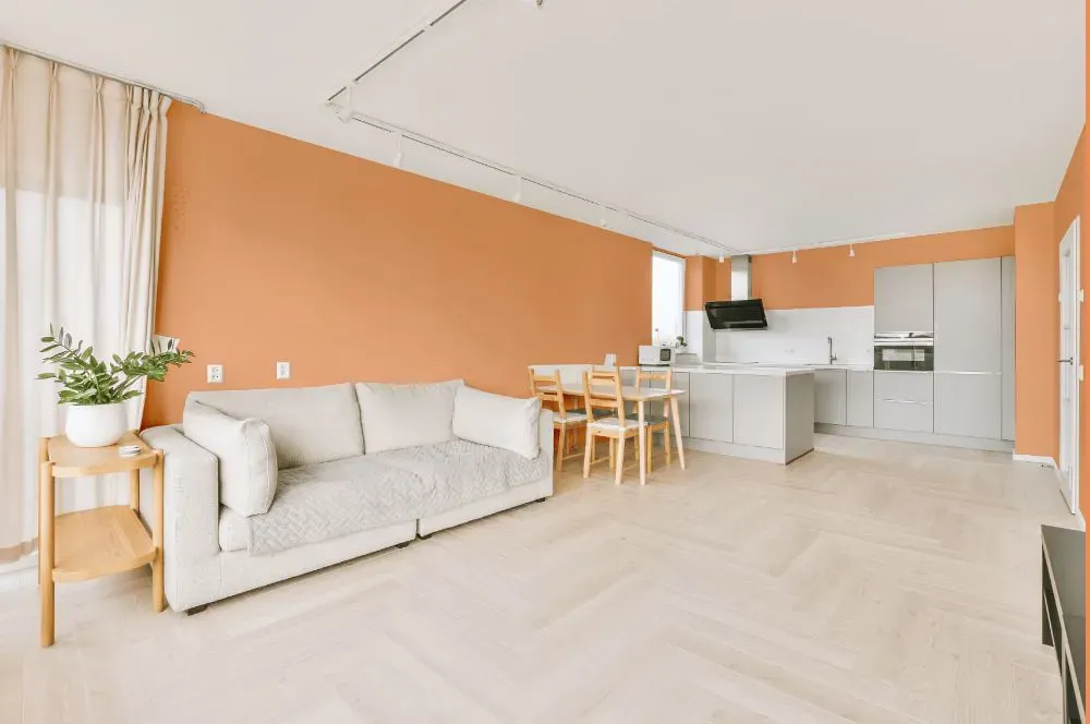 Benjamin Moore Toffee Orange living room interior