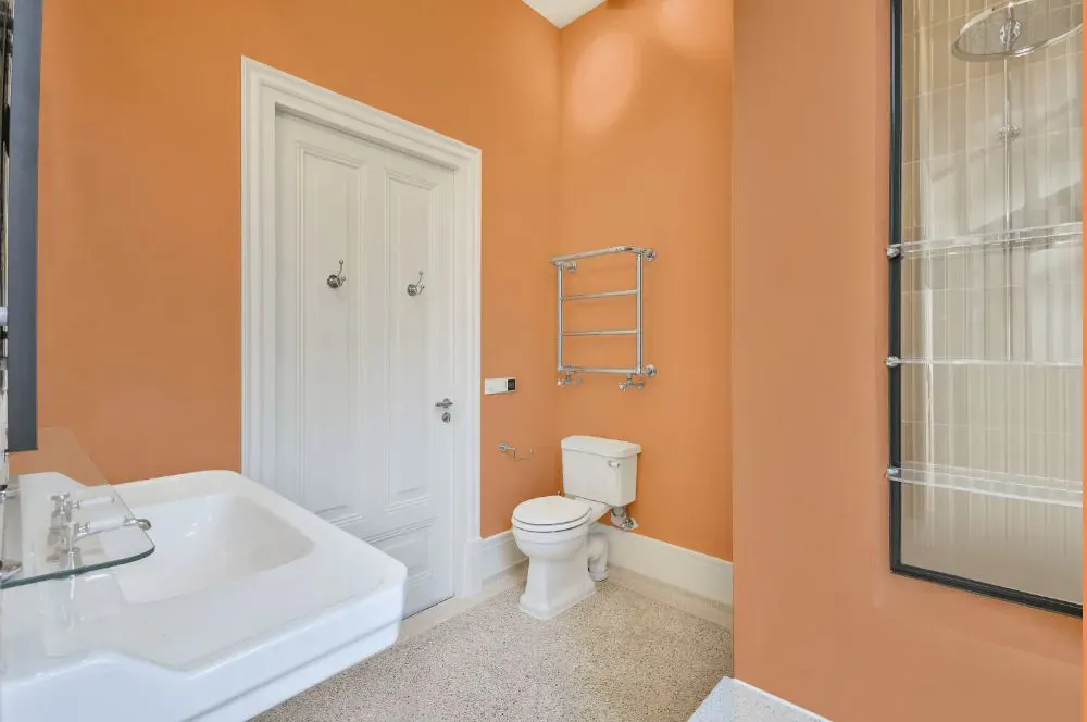 Benjamin Moore Toffee Orange bathroom