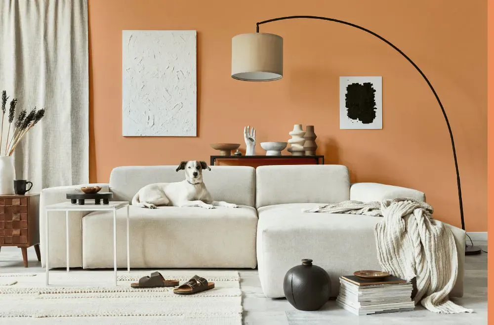 Benjamin Moore Toffee Orange cozy living room
