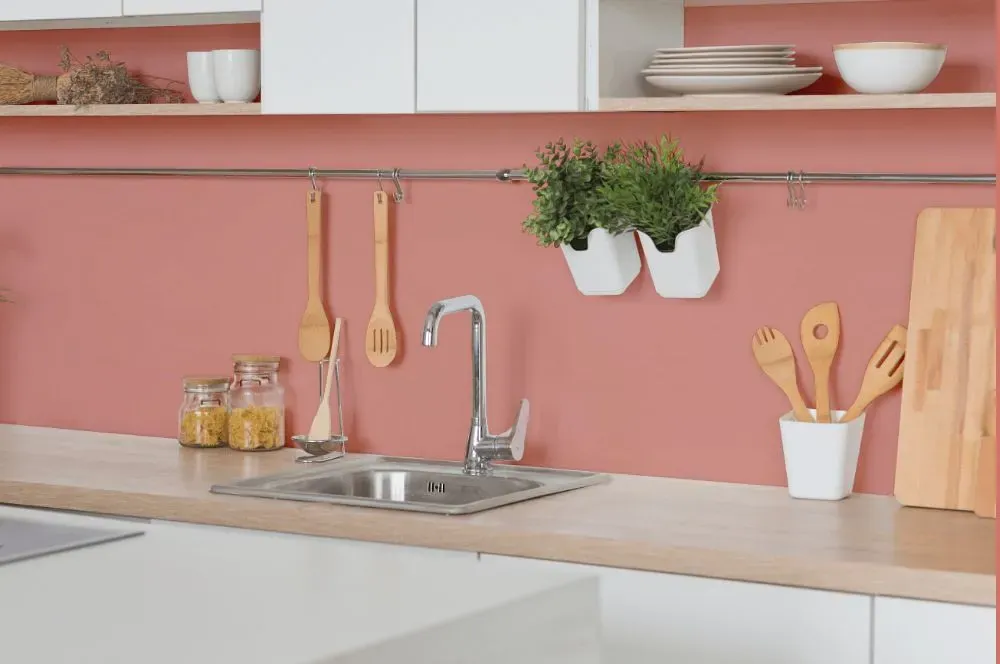 Benjamin Moore Tomato Cream Sauce kitchen backsplash