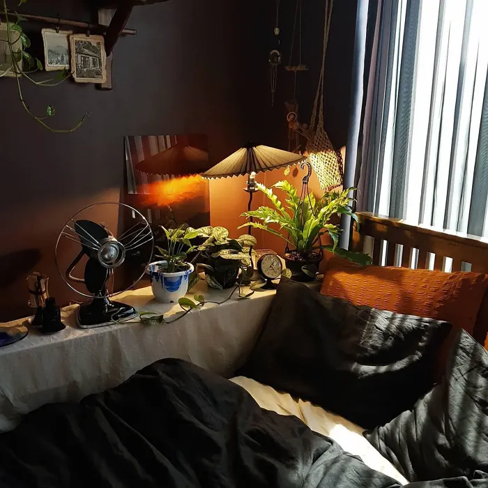 Benjamin Moore Townsend Harbor Brown bedroom review