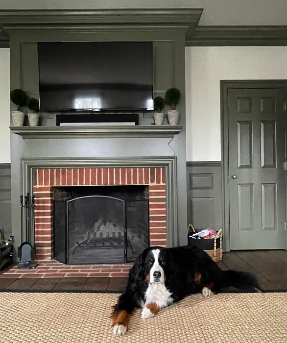 Benjamin Moore Trailing Vines living room fireplace paint