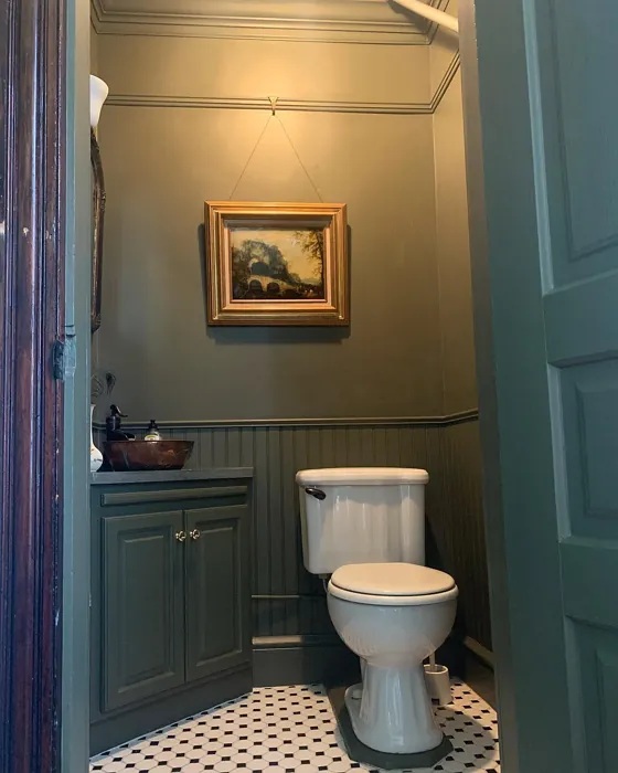 Benjamin Moore Trailing Vines bathroom color review