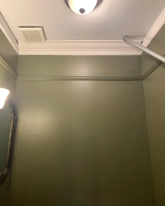 Benjamin Moore Trailing Vines bathroom paint