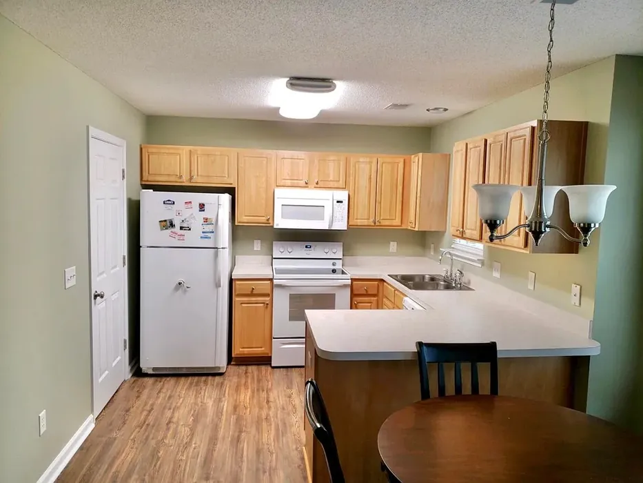 Benjamin Moore Tree Moss kitchen interior