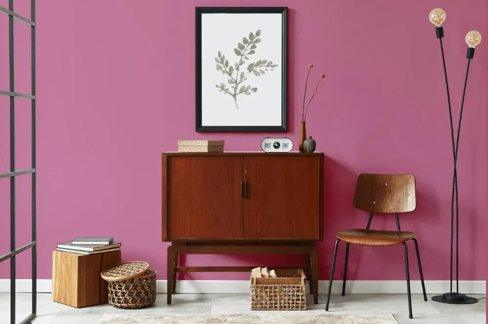 Benjamin Moore Tropical Rose japandi interior