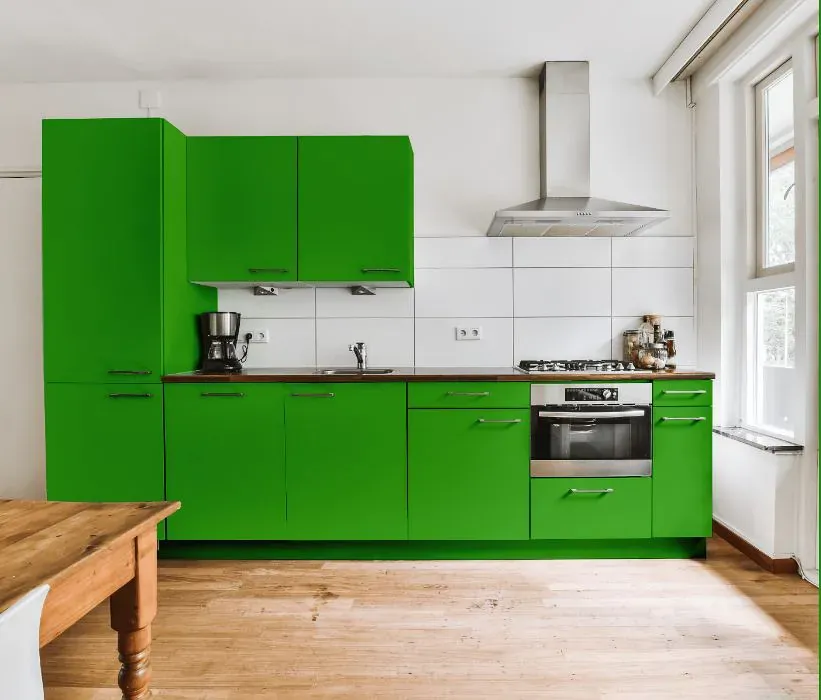 Benjamin Moore Tropical Seaweed Green kitchen cabinets