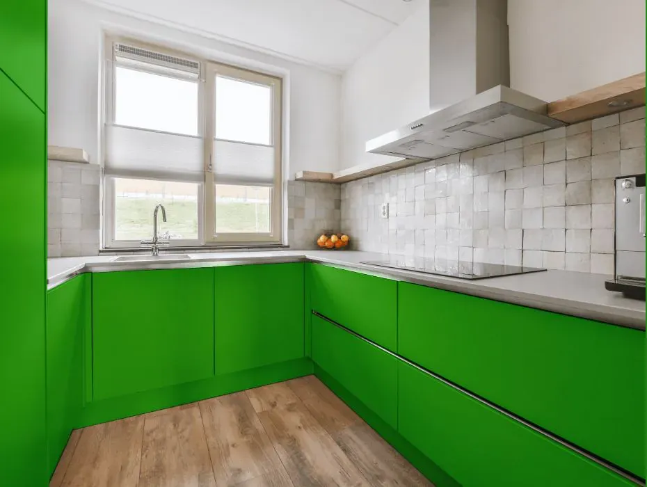 Benjamin Moore Tropical Seaweed Green small kitchen cabinets