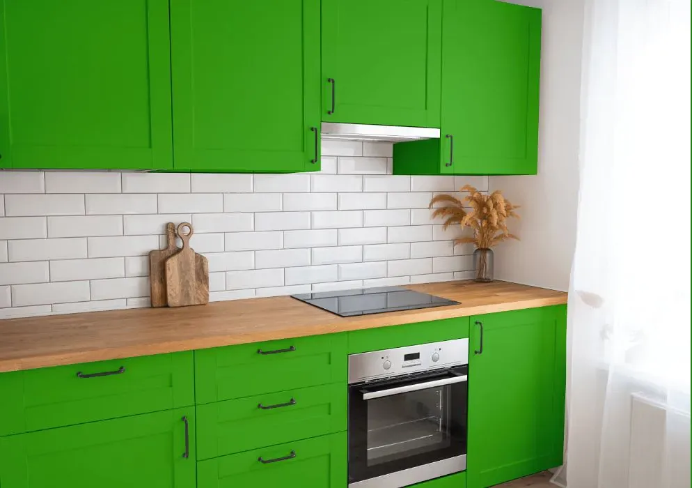 Benjamin Moore Tropical Seaweed Green kitchen cabinets