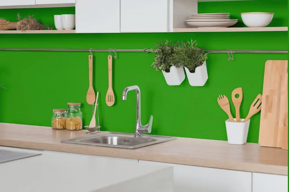 Benjamin Moore Tropical Seaweed Green kitchen backsplash