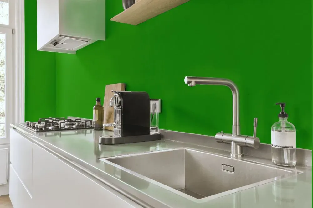 Benjamin Moore Tropical Seaweed Green kitchen painted backsplash