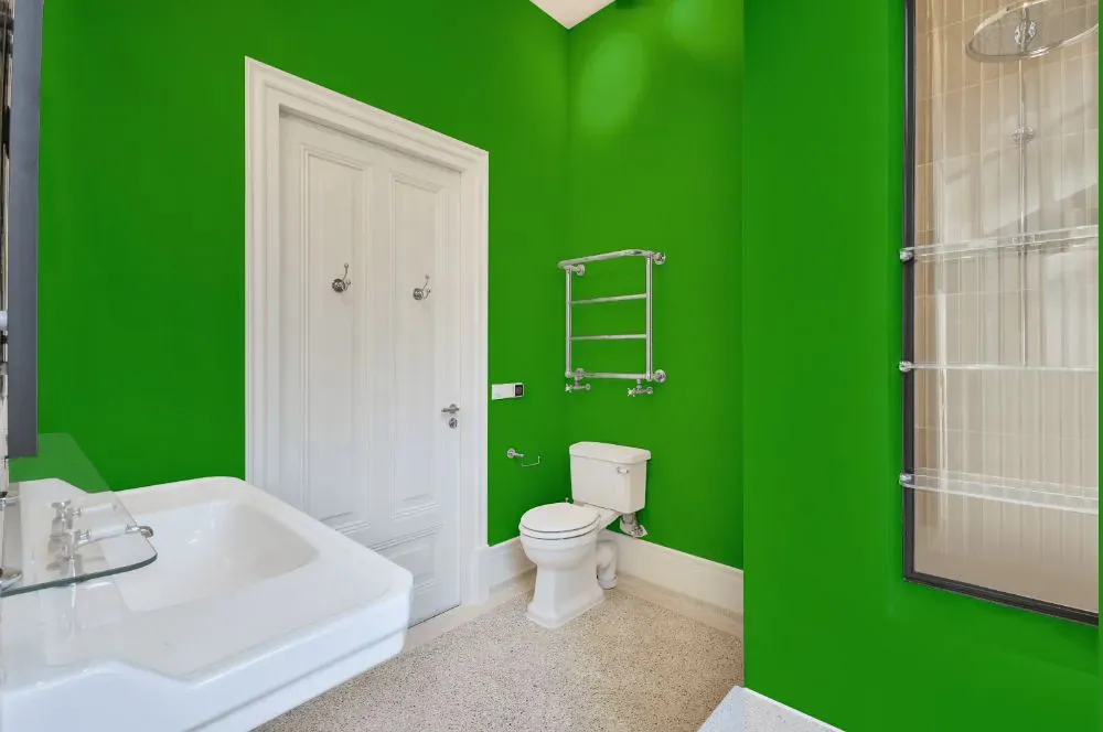 Benjamin Moore Tropical Seaweed Green bathroom