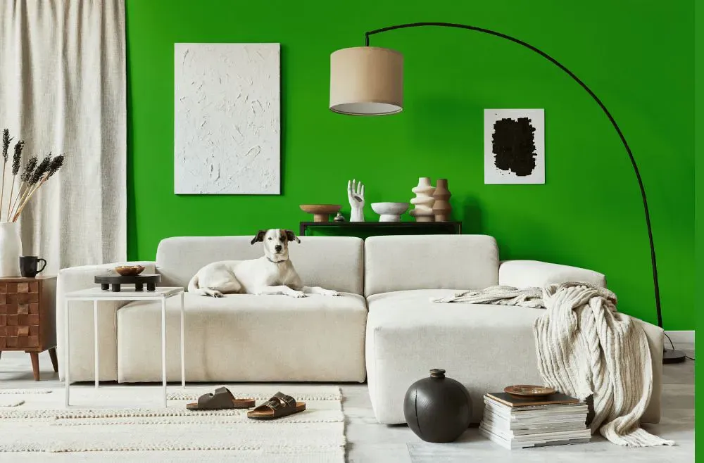 Benjamin Moore Tropical Seaweed Green cozy living room